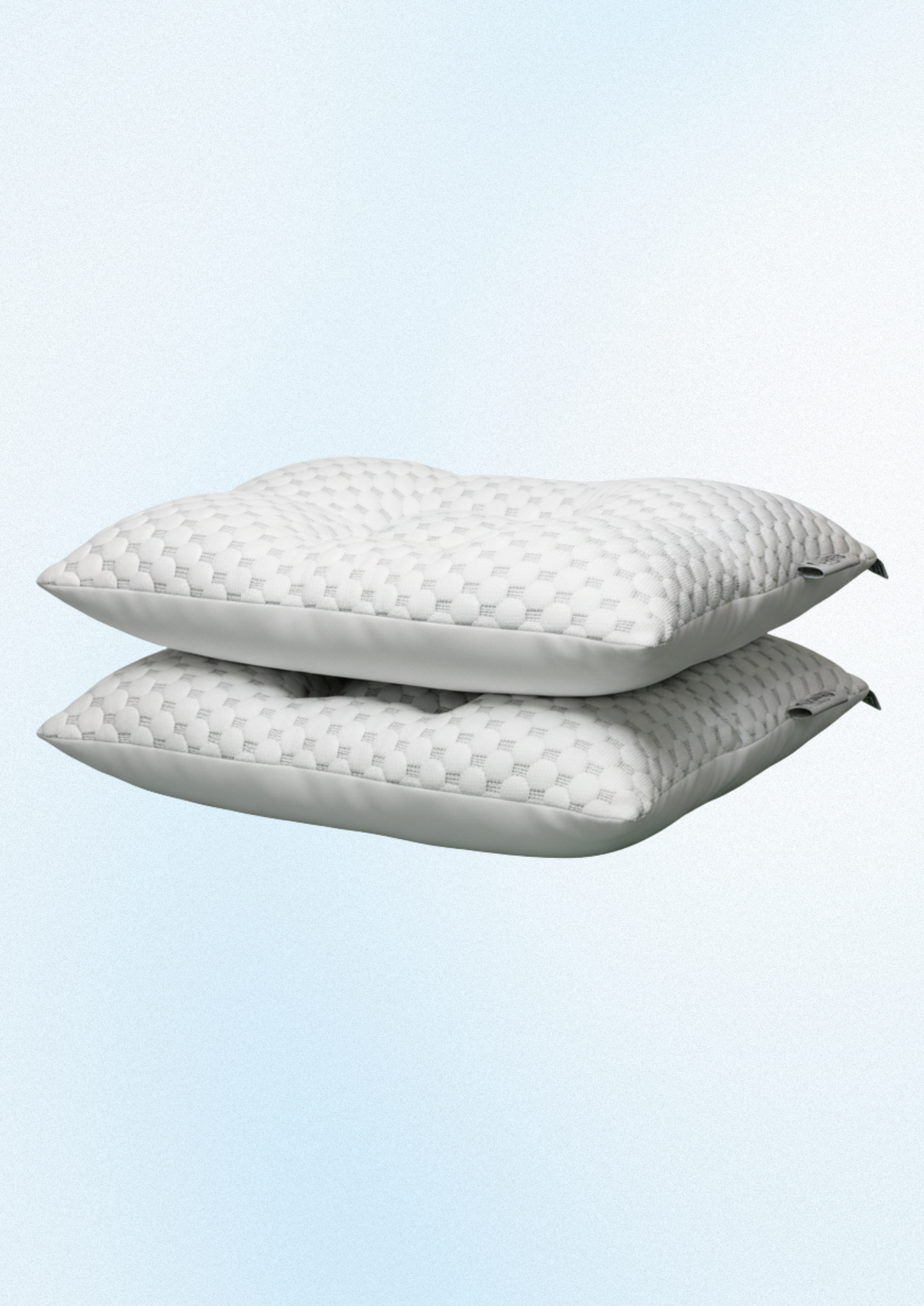 The Signature Pillow (2Pack)